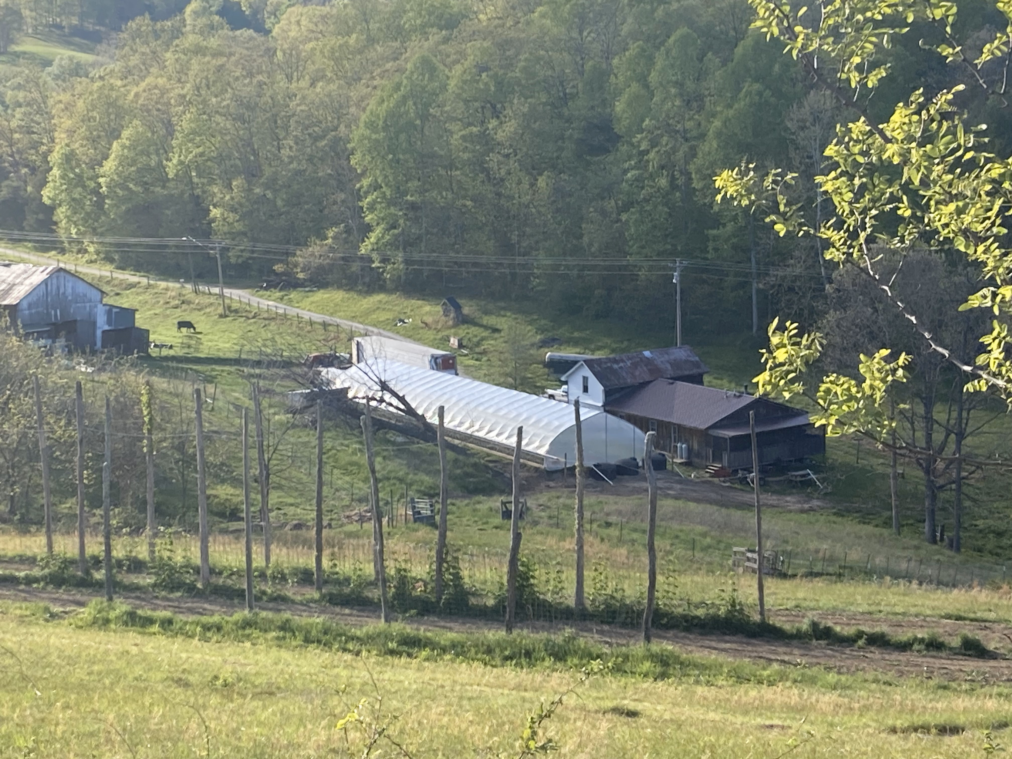 Farm Picture