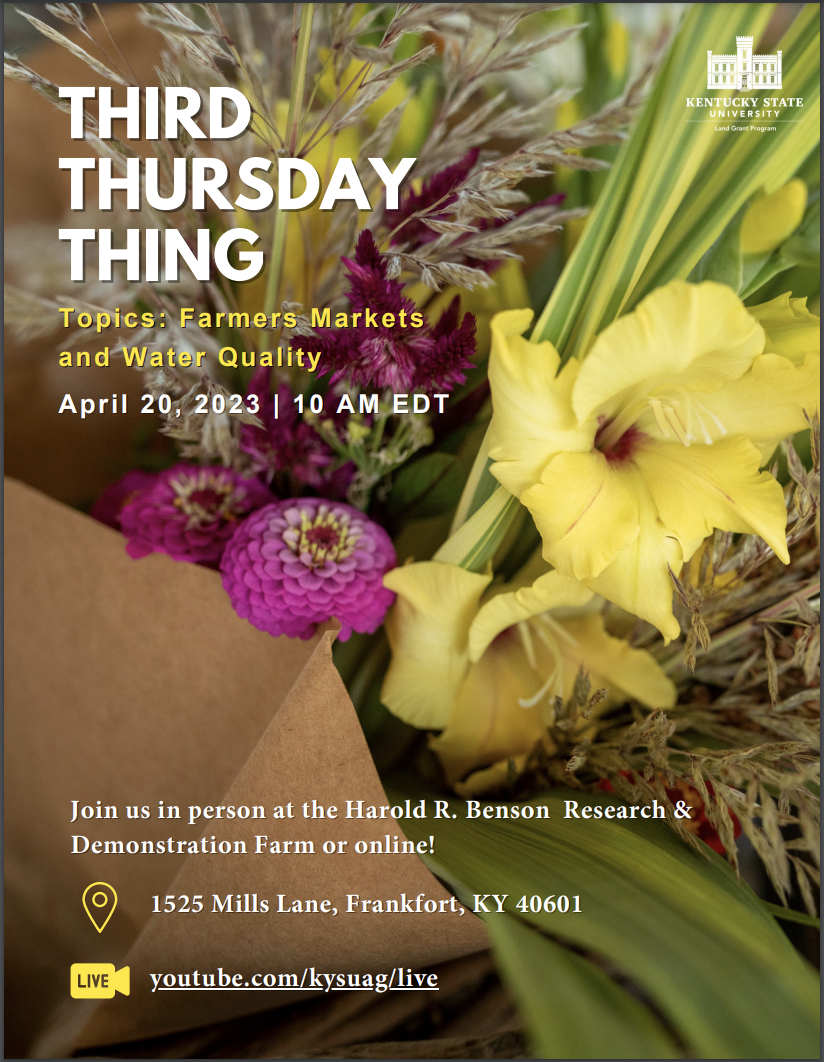 Third Thursday Thing Flyer